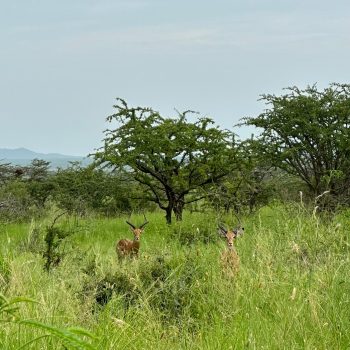 wyprawa01